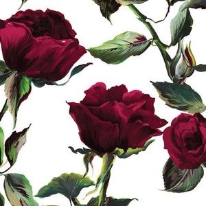 Meet your Posher, Lucy